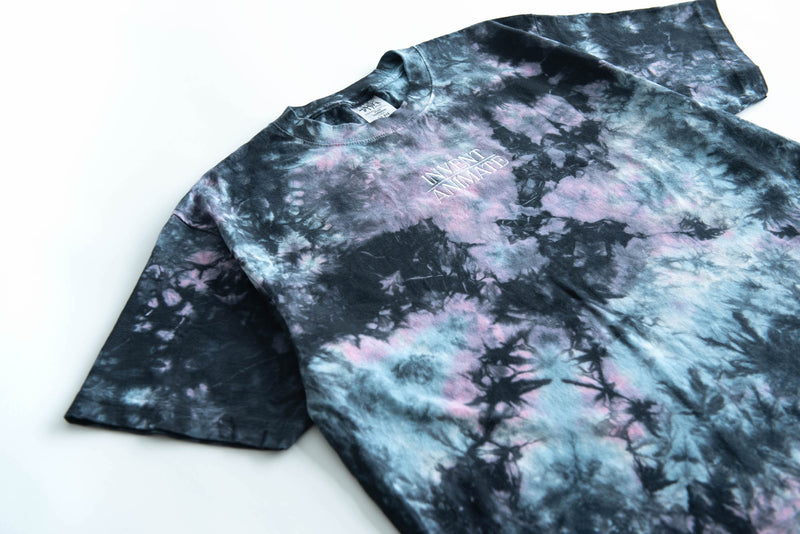 Twilight Embroidered Tie Dye T-Shirt